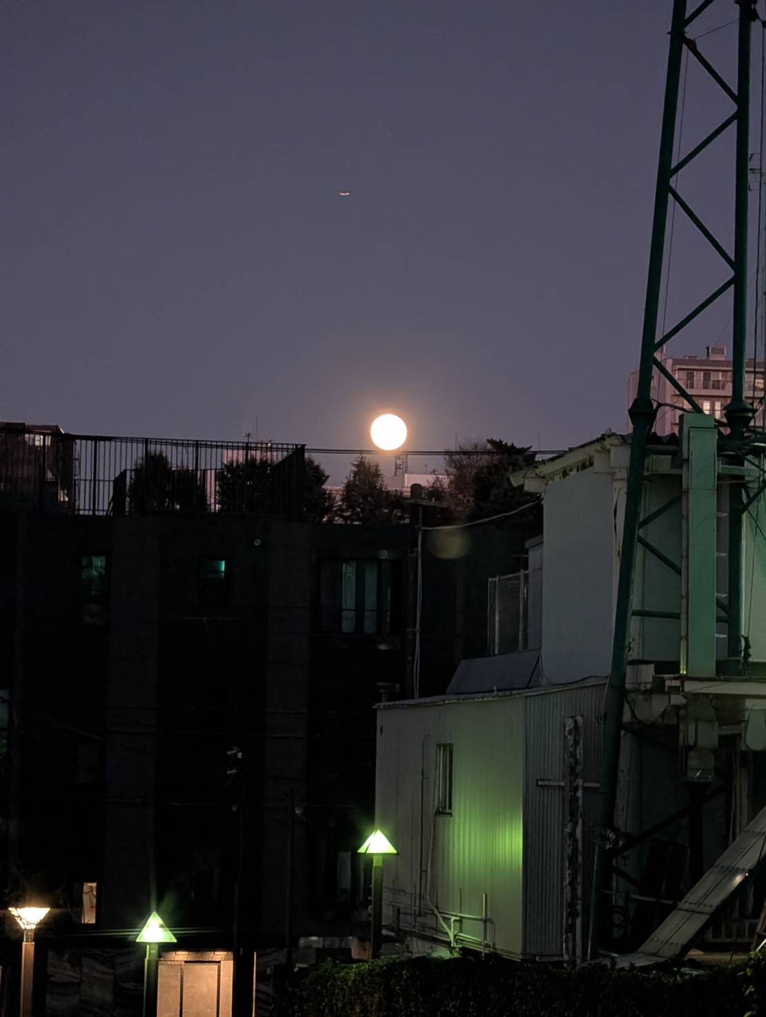 株式会社伊庭工務店 株式会社伊庭工務店